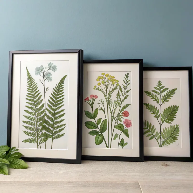 Framed Botanical Prints